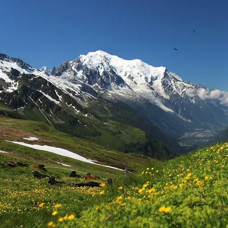 Chalet Des Pistes